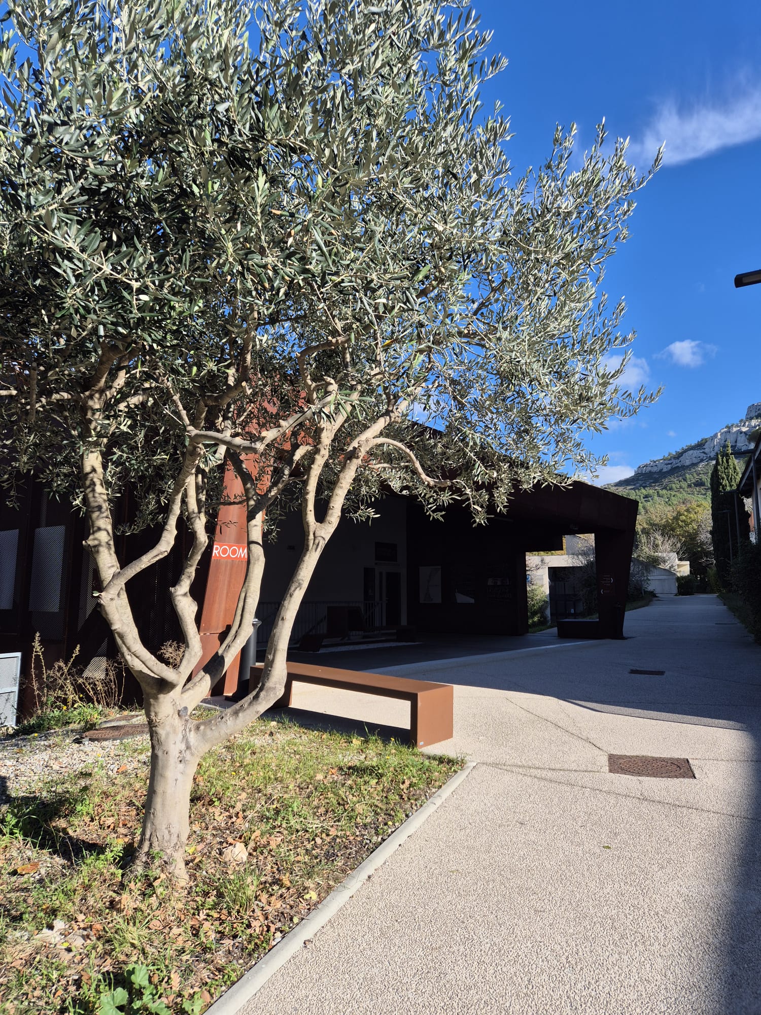 Description of the image